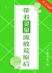 查理九世全集小说下载