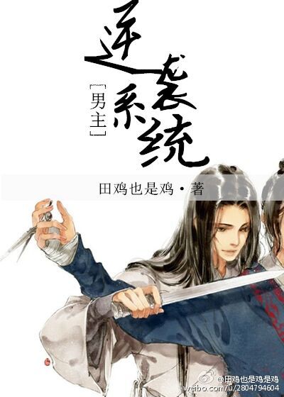 野猫驯养
