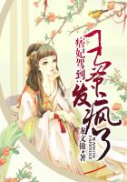 丰满少妇被猛烈进入播放视频