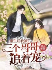 哈尔的移动城堡国语版