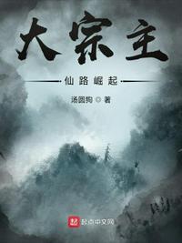 叶子楣女机械人