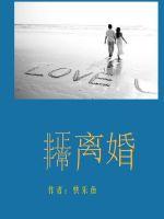 巨人导航 在线视频
