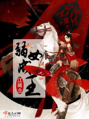 奥兰多燃气壁挂炉