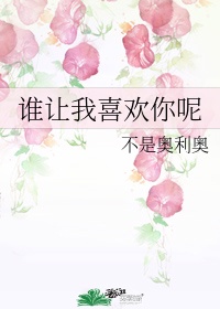 性开放交换小说