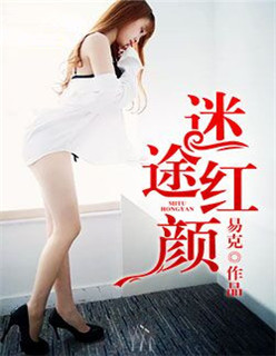 男男视频车车好快的车车CP