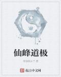 猫咪官网版官网