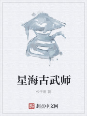 夜雾小说全文免费阅读无弹窗