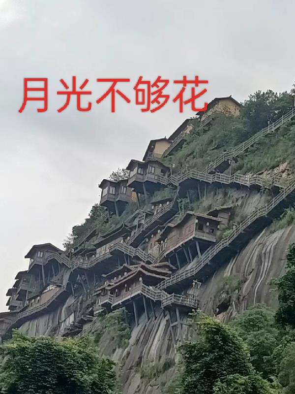 有声经典 录音精品区