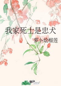 魔女的爱情