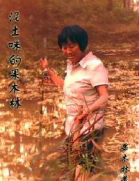 我和婶