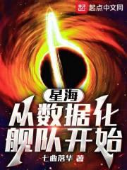 三妻四妾免费观看完整版高清