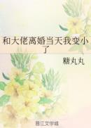 狐狸的夏天电视剧第一季