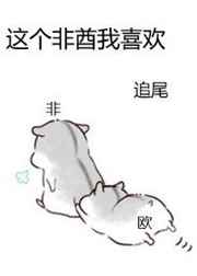 长风镖局之翡翠娃娃国语全集