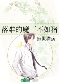 贪官背后的女人