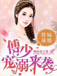 特务搜查官风子magnet