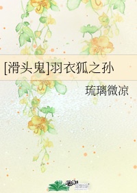 冲上云霄txt下载全集
