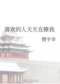 苏乞儿 赵文卓