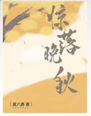 上次观看