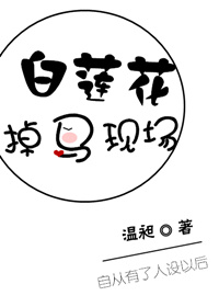 神秘总裁小小妻