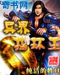 迷情夜