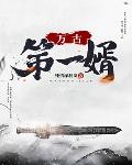 成人播放器安装