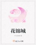 新奥特曼在线观看免费中文版