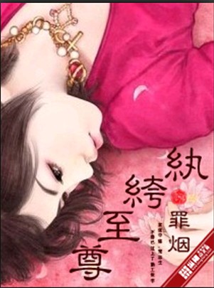 宰执天下txt