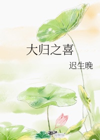 侠岚大电影