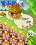 美国视频网站pro