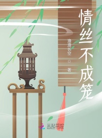 男女动作高清视频大全