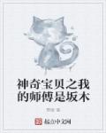 不良人第三季在线