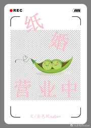 七星彩txt下载
