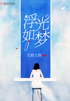 驯养篮球犬