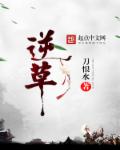 少帅演员表