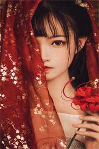 深夜看B站APP软件免费