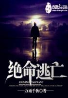 浮华逝梦txt全文下载