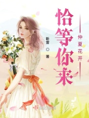 魔力宝贝2