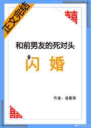 刘局淑芬系列全文阅读