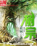 东北往事小说全集阅读