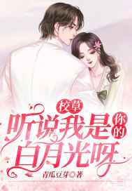 月夜在线观看免费版高清