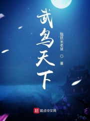 97视频视频在线观看视频
