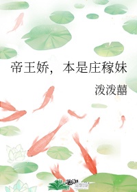 那年花开月正圆免费播出