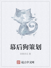 肉满团之夜销在线播放