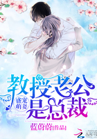 激战办公室小说欲成欢