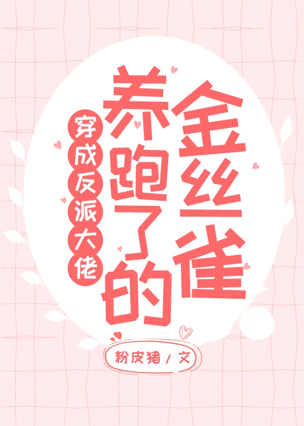 pans视频全集