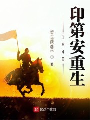 刑事侦缉档案4国语