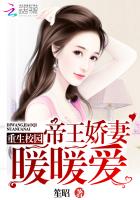 少年派第二季免费观看