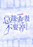 wp588.cn