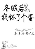 伽罗怎么玩