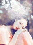 高h文